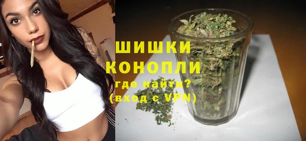 ПСИЛОЦИБИНОВЫЕ ГРИБЫ Балабаново