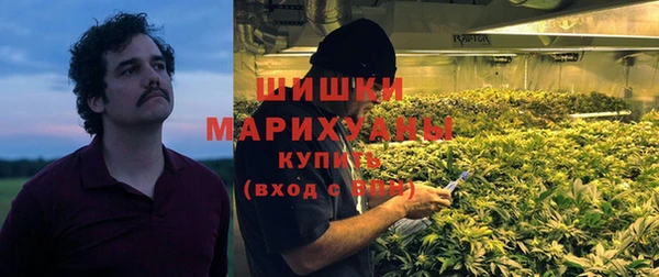 ПСИЛОЦИБИНОВЫЕ ГРИБЫ Балабаново