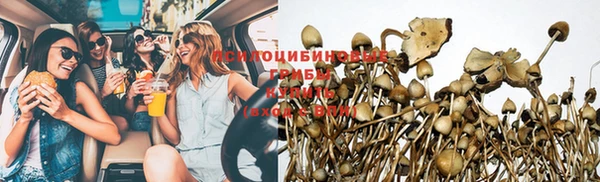 ПСИЛОЦИБИНОВЫЕ ГРИБЫ Балабаново